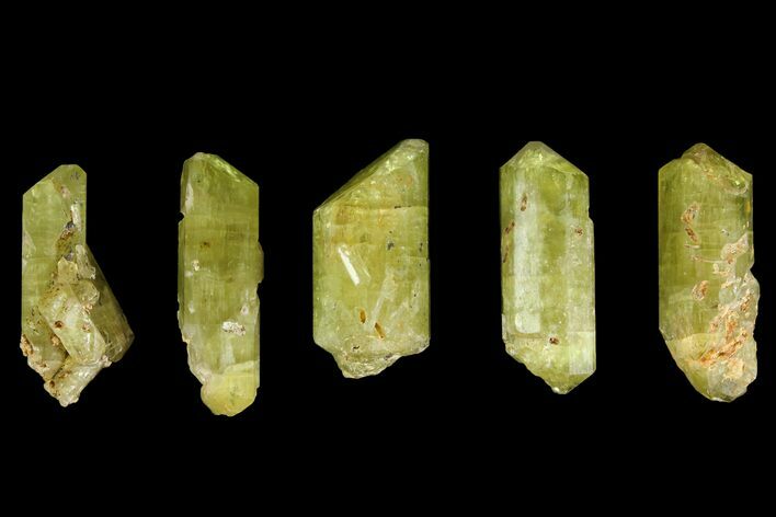 Five Yellow Apatite Crystals (Over ) - Morocco #143087